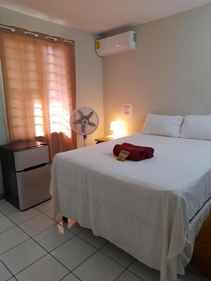 Camelia Rooms Kingston Exteriér fotografie