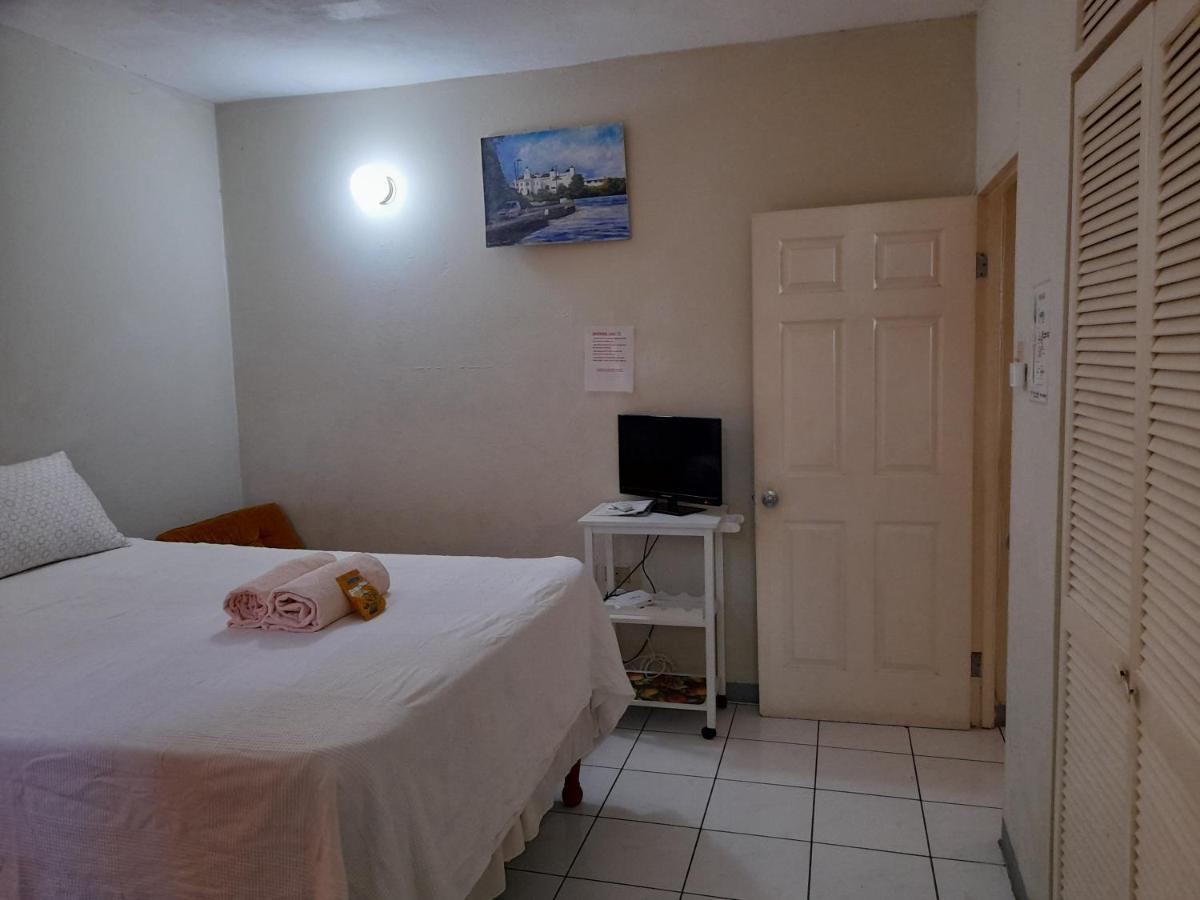 Camelia Rooms Kingston Exteriér fotografie
